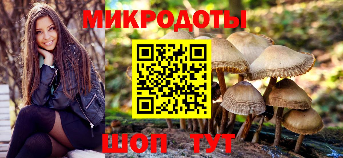 Галлюциногенные грибы Psilocybe  Вход с VPN  Коммунар 